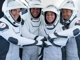 Stories 39 crew 5 launch