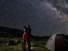 Stories 27 orionids 2022